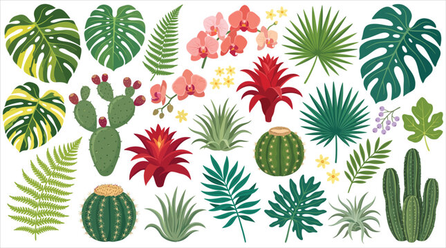 Tropical Botanical Collection with Monstera Leaves, Cacti, and Exotic Flowers Vector Set for Design