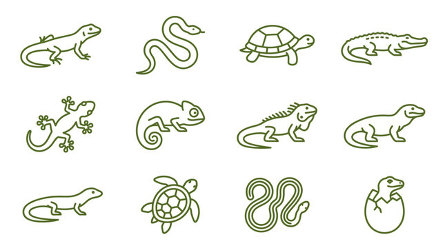 Vector illustration of various reptiles and amphibians including snakes lizards turtles and crocodiles in green outlines on white background