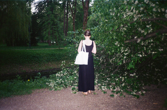 Woman in a park walking near trees and a stream at daytime
