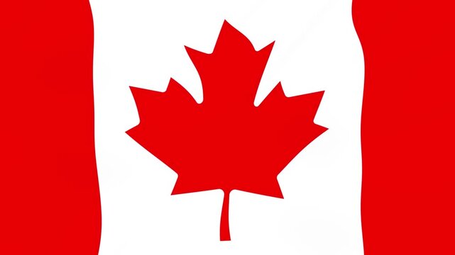 Waving canadian flag background featuring multiple red maple leaf symbols in a seamless horizontal loop