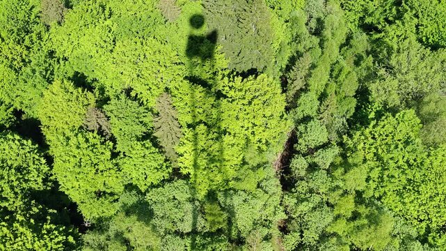 Shadow of 75m telecommunication tower cast over green forest canopy