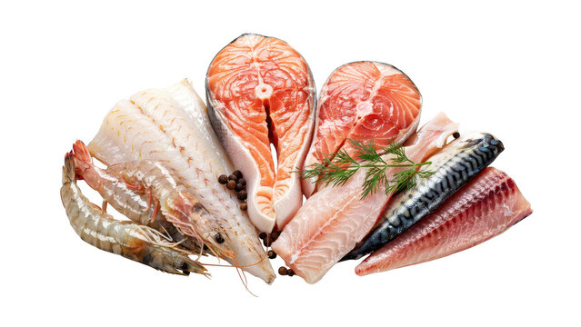 A collection of raw seafood including salmon steaks, white fish fillets, a whole mackerel, and a large shrimp arranged on a black background