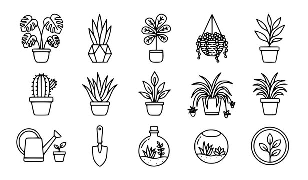 Indoor houseplants and pots vector icon set with simple bold line art classic complete monstera snake plant cactus hanging basket succulent watering can and home garden clip art black and white