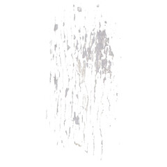 Obraz premium Isolated Detailed Wood Texture Element on Transparent Background
