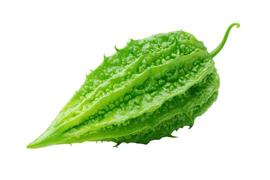 Fresh bitter melon isolated on transparent background. Fresh green bitter melon with water droplets isolated on white background.