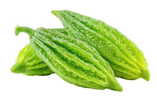 Fresh bitter melon isolated on transparent background. Fresh bitter melon with water droplets isolated on white background.