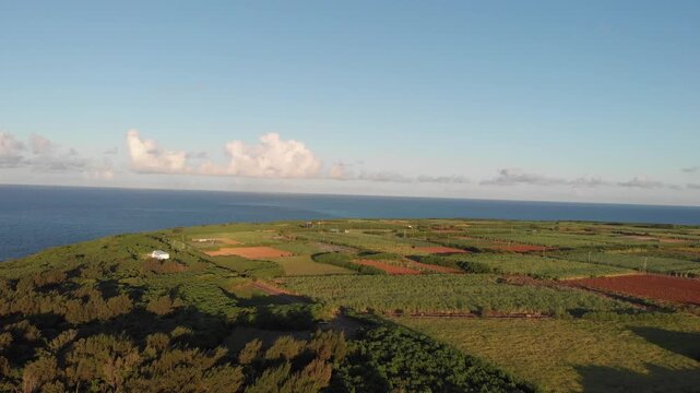 Smooth drone aerial view panning over rustic sugarcane fields and blue ocean, Miyakojima, Okinawa