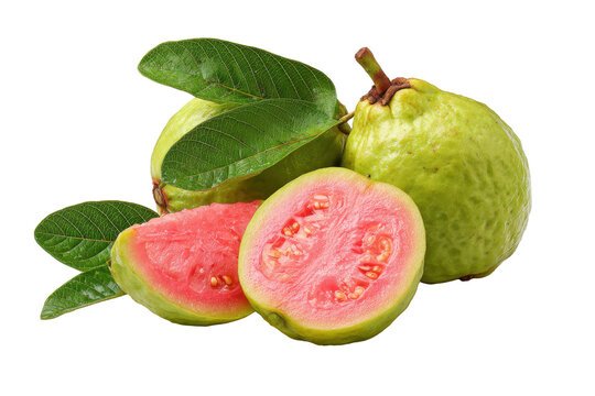 Vibrant guava fruits displaying their inner beauty isolated on transparent background. Fresh whole and sliced guava fruit with leaves isolated on white background.