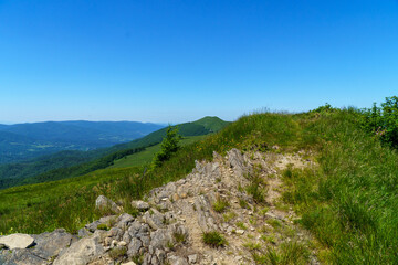 Fototapeta premium Bieszczady - połonina Wetlińska
