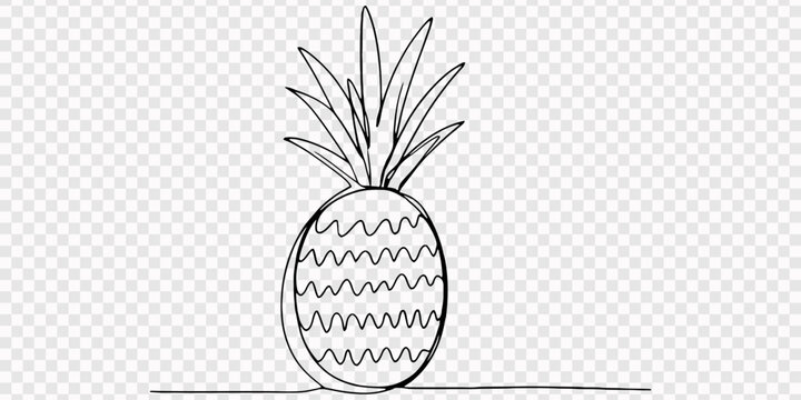 Continuous one line drawing pineapple. Tropical pineapple fruit single line art drawing vector design, Single continuous line drawing whole healthy pineapple organic for orchard logo identity
