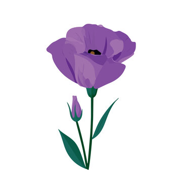 Eustoma Flower, flat 2D graphic illustration in a modern minimal style, isolated on a white background.