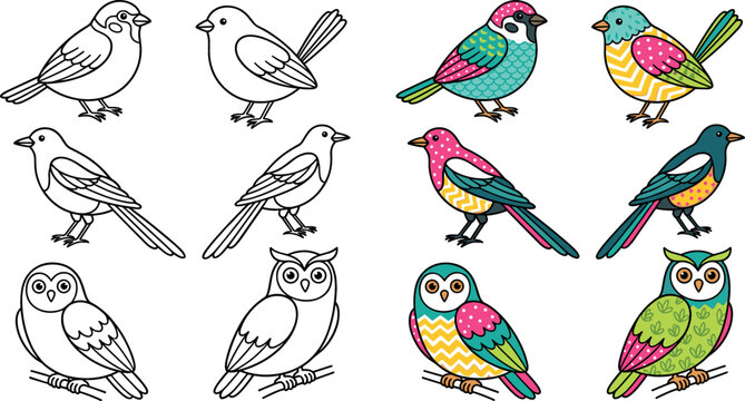 Cute cartoon bird doodle vector illustration set with colorful patterns and black and white outline coloring page elements featuring sparrows and owls