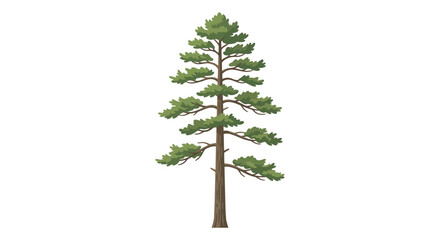Pine Tree Vector Illustration © suris