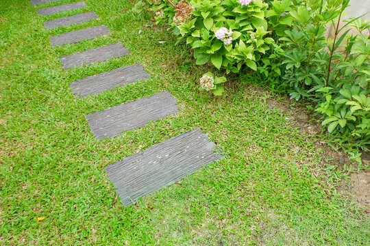 Garden landscape design with pathway in garden and footpath in picturesque summer park and staircase in backyard,Paving stones on floor in park,space for text.