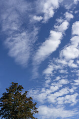 Fototapeta premium Nach der großen Hitze endlich wieder schöne Föhnwolken am Himmel über den Ort