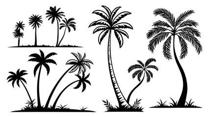 Fototapeta premium Vector Illustration of Various Palm Trees in Silhouette Style for Nature and Tropical Themes