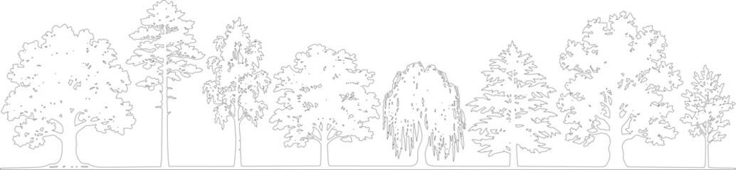 Fototapeta premium Palm Frond and Slender Tree Line Drawing Set, CAD Landscape Elevation Vector,Architectural Planting Elevation Set, Frond and Slender Tree Vector Elements, Botanical Line Drawing Collection