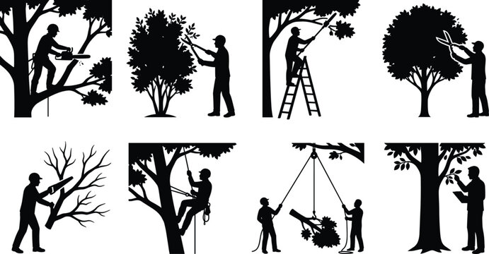 Tree service and arborist silhouettes set with cutting pruning trimming and rigging operations vector illustration
