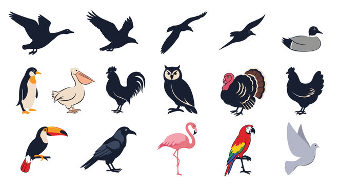 Diverse collection of bird illustrations ranging from silhouettes of geese in flight to colorful tropical parrots and standing pink flamingos.