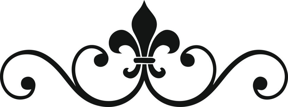 an elegant symmetrical decorative text divider .eps