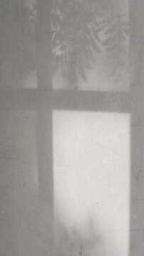 Vertical dark window shadow play with tree branch moving on rough grey cement wall in afternoon sun, creating realistic rustic background.