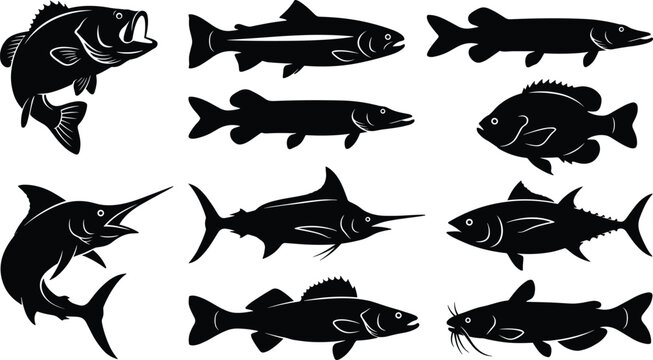 Set of fresh and saltwater fish black silhouettes vector illustrations isolated on a white background