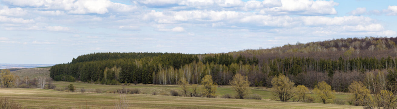 Detailed high-resolution panoramic photograph of a peaceful rural landscape. Field, Meadow and Forest in Summer.