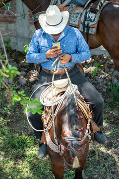 vaquero