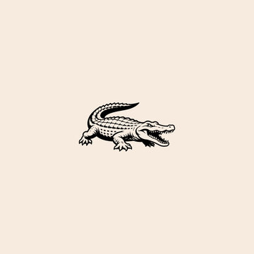Detailed ink drawing of a wild alligator reptile with alligator crocodile wildlife predator illustration monochrome isolated creature detailed