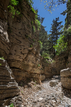 Rocky path winding through rugged and lush cliffs along the Imbros Gorge hiking trail in Crete, Greece, on sunny day.