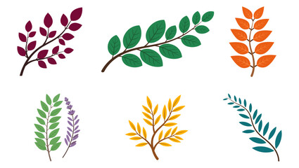 Colorful Botanical Leafy Branch Collection Vector Set Isolated on PNG Background, botanical branch, leafy branch, leaf vector, botanical vector, plant branch, foliage, green leaves, eucalyptus branch, © TalalAhmad