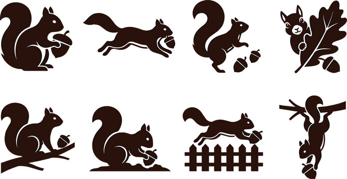 Squirrel silhouette vector icon set featuring wild rodents jumping running sitting with acorns oak leaves and garden fence