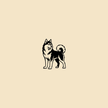 Graphic illustration of a standing alaskan malamute dog with malamute illustration standing domestic silhouette companion wilderness adventure