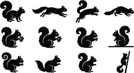 Fototapeta premium Set of black squirrel silhouettes in various poses including running sitting and climbing on white