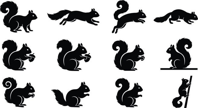 Set of black squirrel silhouettes in various poses including running sitting and climbing on white