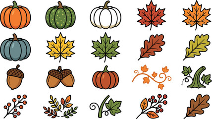 Autumn harvest collection hand drawn pumpkins maple leaves acorns and berry branches for fall designs © SharifulHaque