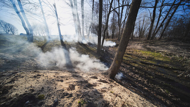 Smoke rising from burning dry grass near Trokiele church in spring