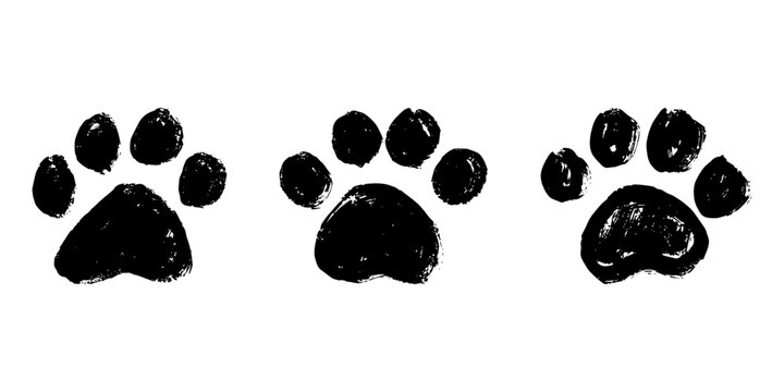 Set of three hand painted black ink animal paw prints isolated on a clean white background representing pet tracks or wildlife footprints for creative design projects