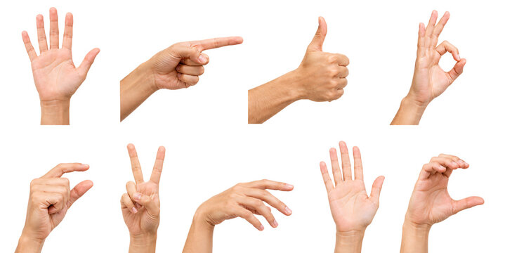 Set of man hands showing different gestures on transparent background.