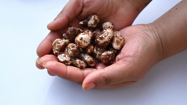 Both hands gently holding jaggery and cocoa-coated makhana in the palms, showcasing a delicious homemade Indian snack prepared from roasted fox nuts