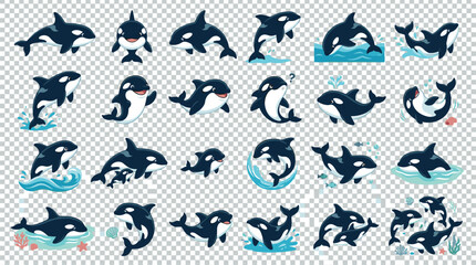 Orca whales in various playful poses and actions on a transparent background © Arafat. Vector