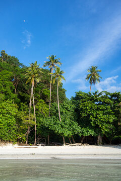 Paradise at Lia beach, Waleakodi Island, Togian archipelago, Sulawesi, Indonesia