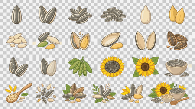 Various edible seeds and grains displayed in a grid against a transparent background
