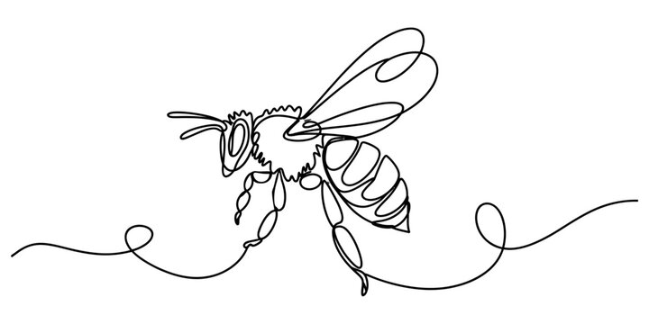 Continuous single line drawing of a honey bee flying with elegant strokes, minimalist artistic insect illustration for creative design and nature projects Vector, illustration