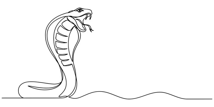 Continuous single line drawing of a dangerous cobra snake with open mouth and hood showing fangs in a minimalist artistic style for logo design Vector, illustration