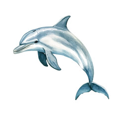 Fototapeta premium Dolphin watercolor drawing vector, high-quality modern illustration on a pure white background