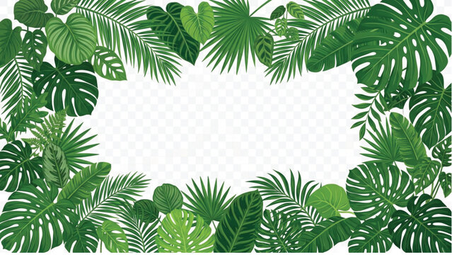Tropical Green Palm and Monstera Leaves Border Frame on Transparent Background