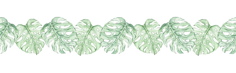 Watercolor seamless border with monsteras. Hand-drawn horizontal banner with tropical monstera leaves. Ribbon and tape design. Botanical illustration, tropical, exotic leaves. © Yana