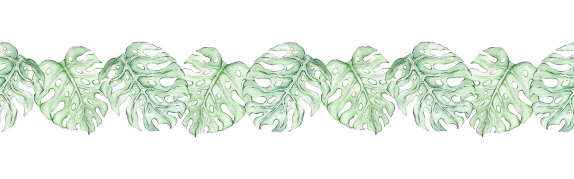 Watercolor seamless border with monsteras. Hand-drawn horizontal banner with tropical monstera leaves. Ribbon and tape design. Botanical illustration, tropical, exotic leaves.