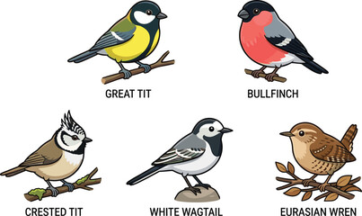 Set of five different bird species including tit, bullfinch, crested tit, and others shown © Sojib Patuary